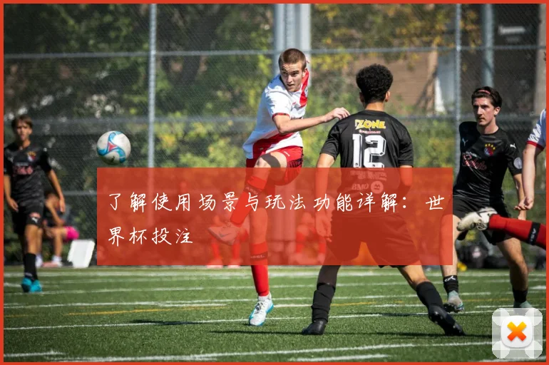 了解使用场景与玩法功能详解：世界杯投注