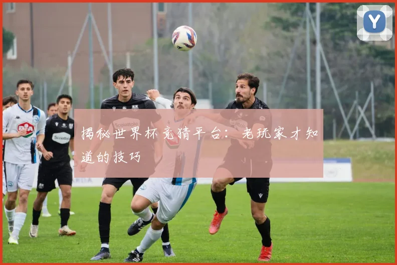 揭秘世界杯竞猜平台：老玩家才知道的技巧